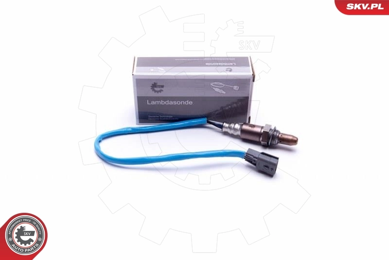 Oxygen Sensor
